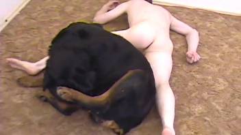 Canine penetrates man anally in a wild bestiality session
