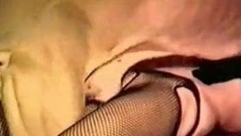 Nasty sex scene with vintage zoophilic loving