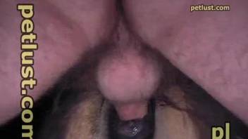 Farmer licks pony's asshole and then sticks his hard dick