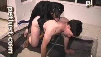 Black dog hardly screwed my hubby in amateur bestiality XXX