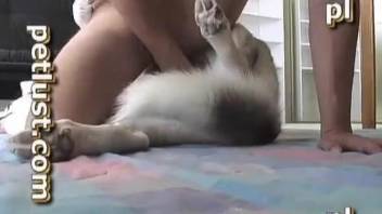 Man deep fucks his furry animal and cums on its fur