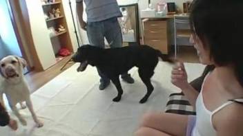 Two hard dog dicks sucked by a slender bestiality slut