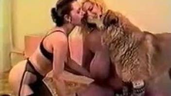 Milfs are enjoying the furry dog for a nice shag