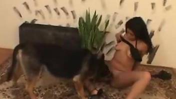 Dark-haired beauty enjoying hot sex with a beast