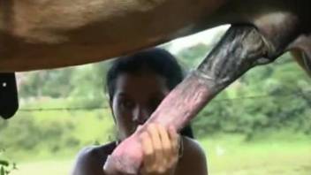 Brunette jerks and sucks a truly gigantic stallion dick