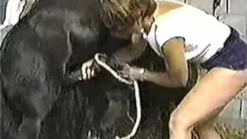 Fun-loving pony enjoys a nice handjob from a zoophile