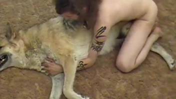 Hairy dude fucking a dog's hole in a kinky porn scene