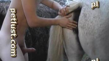 Dude's nice boner penetrates a mare's tight hole