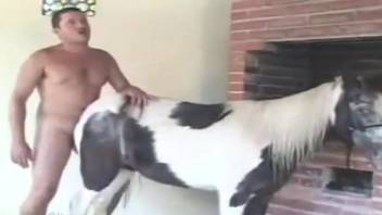 Boy licks mare's wet vagina and shove erect cock inside