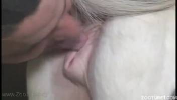 Enthusiastic guy devouring an animal's cunt before pounding it