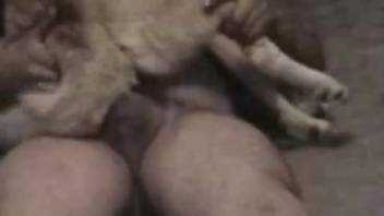 Fat hairy dude fucking his doggo sideways on cam