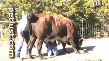 Sweet cow and awesome zoophile in the filthiest outdoor bestiality