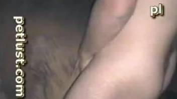 Man licks and hard fucks horse's vagina and ass