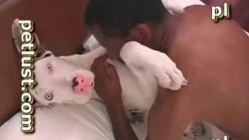 Big-dicked black dude fucking a snow-white doggo