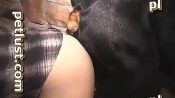 Dog ass fucks naked gay man in homemade zoo XXX shag