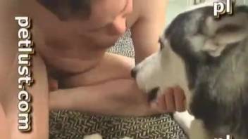 Trained Husky gets a good blowjob by completely perverted owner