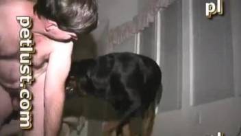 Dog and man anal sex