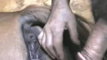 Hot MILF's pussy drilled deep by a well-endowed stud in HD