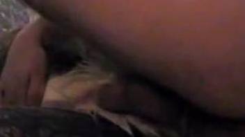 Horny man loves fingering the dog's ass in sloppy modes