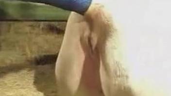 Deep horse porn sexual scenes along a man with big cock