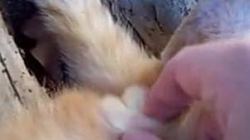 Dude fingering his kitty's cute little pussy