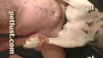 Hairy dark haired zoophile fucks a white doggo