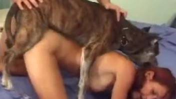 Grey retriever fucks a redhead hottie in doggy style pose