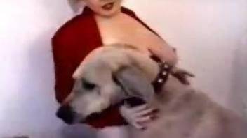 Dog with a hard cock fucks an amateur with big boobs