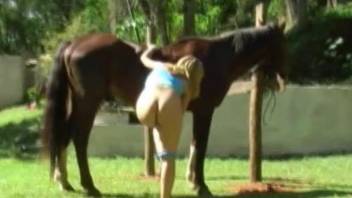 Fully naked blondie and beautiful brown horse under the sun