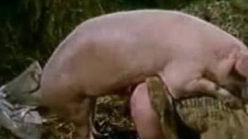 Chubby blonde gets fucked by an equally chubby pig