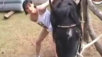 Brunette carefully sucks every inch of stallion's dick outdoors