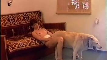 Sexy amateur sucks the dog on live cam