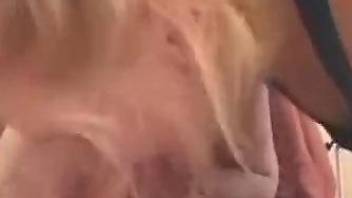 girl blowjob dog xxx