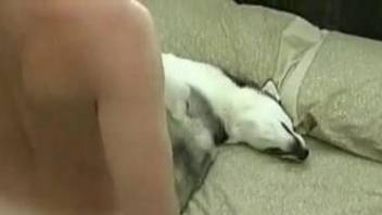 Milf finger fucks pussy then enjoys the dog cock