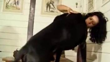 Black dog fucks a slim Latina zoophile on all fours