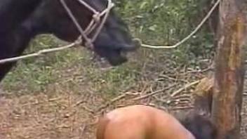 Nasty Latin chicks enjoying hot sex with a stallion