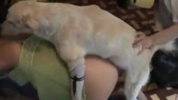 Medium dog fucks curvy ass woman and makes her feel insanely horny