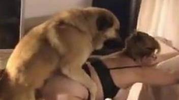 Nerdy older lady getting fucked by a hung doggo