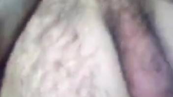 Intense bestiality sex scene featuring deep hardcore thrusting
