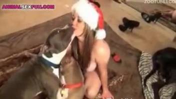 Severe Christmas party zoophilia wuth a blonde and her Pitbull