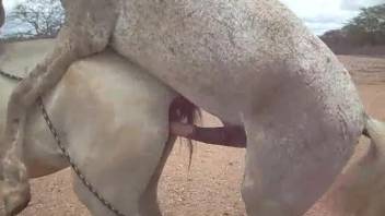 Hung stud rams his massive dick deep into the filly's snug cunt