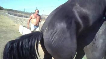 Horny black horse is having an intercourse wit its GF