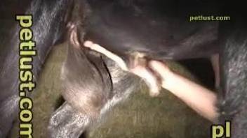 Man deep fucks his goat them cums on its fur