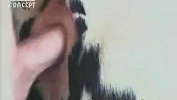 Guy shoves his prick deep into a cow's hot snatch