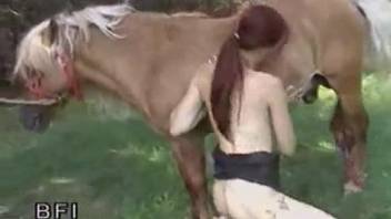 Redheaded babe riding a dildo during a  horse blowjob