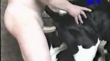Aroused guy pounding a hot older woman from the back