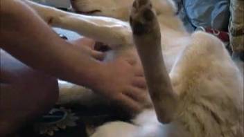 Hot amateur bestiality footage showing a guy with his dog