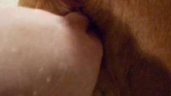 Amazing close-up bestiality XXX fingering video