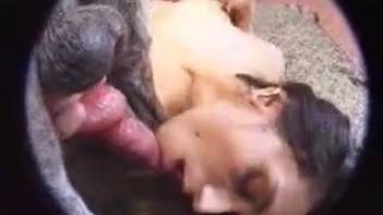 Hot expectant woman being banged by a cute pooch