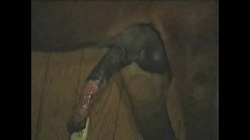 Intense fuck fest featuring a stud and a complete whore